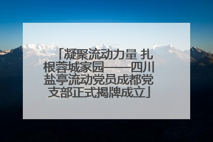 凝聚流动力量 扎根蓉城家园——四川盐亭流动党员成都党支部正式揭牌成立