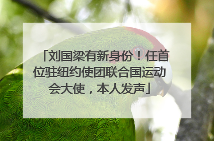 刘国梁有新身份！任首位驻纽约使团联合国运动会大使，本人发声