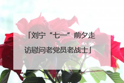 刘宁“七一”前夕走访慰问老党员老战士