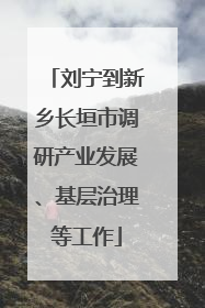 刘宁到新乡长垣市调研产业发展、基层治理等工作