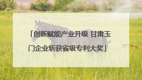 创新赋能产业升级 甘肃玉门企业斩获省级专利大奖