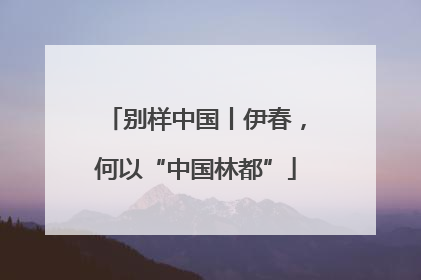 别样中国丨伊春，何以“中国林都”