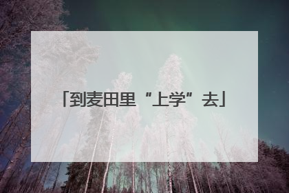 到麦田里“上学”去