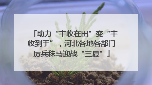 助力“丰收在田”变“丰收到手”，河北各地各部门厉兵秣马迎战“三夏”