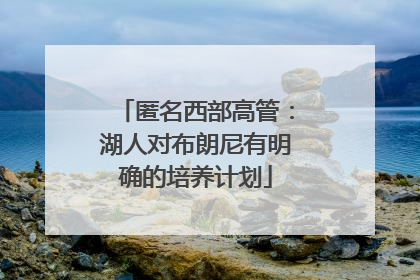 匿名西部高管：湖人对布朗尼有明确的培养计划