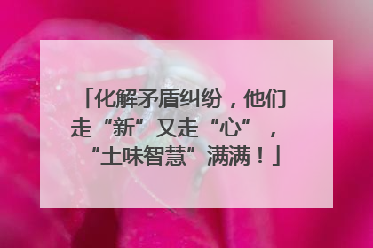 化解矛盾纠纷，他们走“新”又走“心”，“土味智慧”满满！