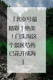北京号最精彩｜绝美！门头沟这个景区芍药已花开成海