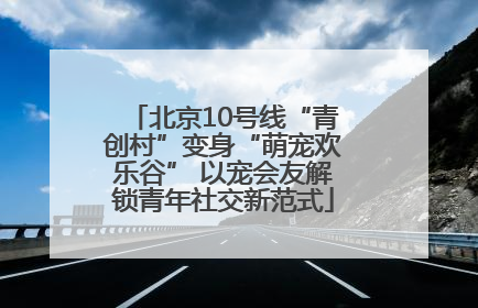 北京10号线“青创村”变身“萌宠欢乐谷” 以宠会友解锁青年社交新范式