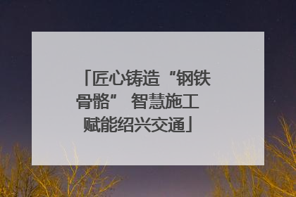 匠心铸造“钢铁骨骼” 智慧施工赋能绍兴交通