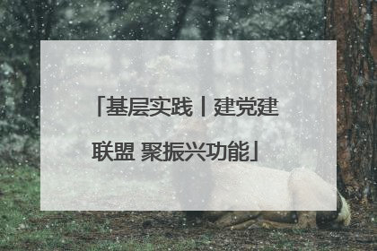 基层实践丨建党建联盟 聚振兴功能