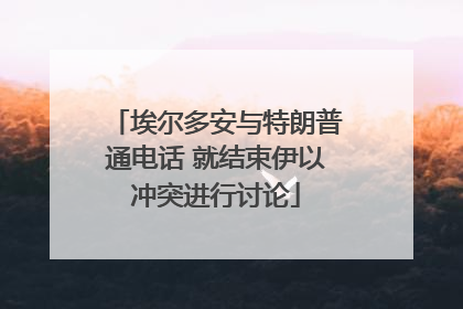 埃尔多安与特朗普通电话 就结束伊以冲突进行讨论