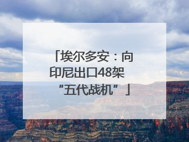 埃尔多安:向印尼出口48架“五代战机”