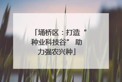 埇桥区：打造“种业科技谷” 助力强农兴种