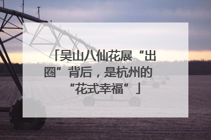 吴山八仙花展“出圈”背后，是杭州的“花式幸福”