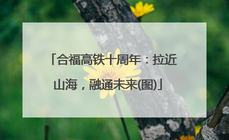合福高铁十周年：拉近山海，融通未来(图)
