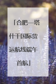 合肥—塔什干国际货运航线端午首航