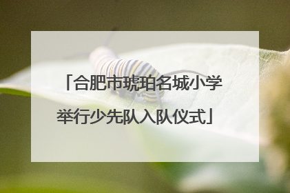 合肥市琥珀名城小学举行少先队入队仪式