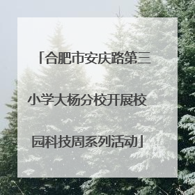 合肥市安庆路第三小学大杨分校开展校园科技周系列活动