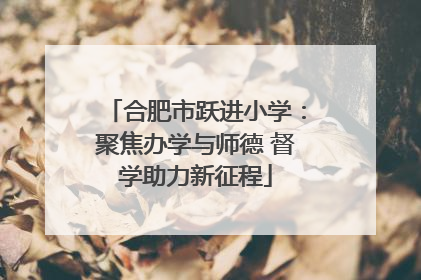 合肥市跃进小学：聚焦办学与师德 督学助力新征程