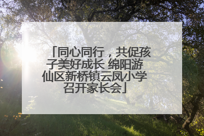 同心同行，共促孩子美好成长 绵阳游仙区新桥镇云凤小学召开家长会