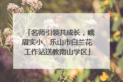 名师引领共成长，峨眉实小、乐山市白兰花工作站送教南山学区