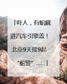 吓人，有蛇藏进汽车引擎盖！北京9天接9起“蛇警”……