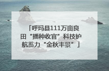 呼玛县111万亩良田“播种收官”科技护航蓄力“金秋丰景”