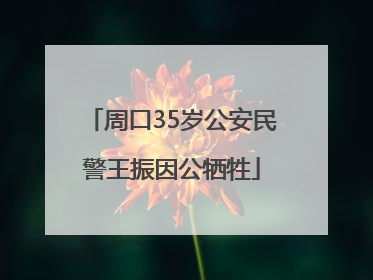 周口35岁公安民警王振因公牺牲
