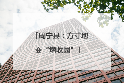 周宁县：方寸地变“增收园”