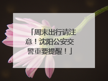 周末出行请注意！沈阳公安交警重要提醒！