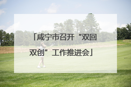 咸宁市召开“双回双创”工作推进会