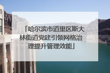 哈尔滨市道里区斯大林街道党建引领网格治理提升管理效能