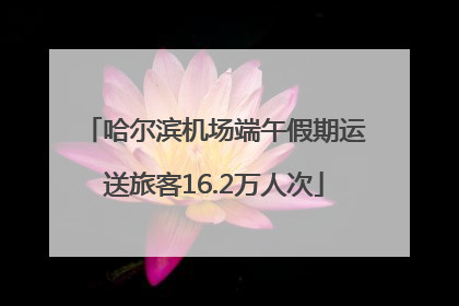 哈尔滨机场端午假期运送旅客16.2万人次