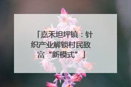 嘉禾坦坪镇：针织产业解锁村民致富“新模式”