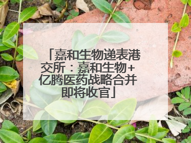 嘉和生物递表港交所：嘉和生物+亿腾医药战略合并即将收官
