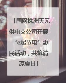 国网株洲天元供电支公司开展“e起节电”惠民活动，共筑清凉夏日