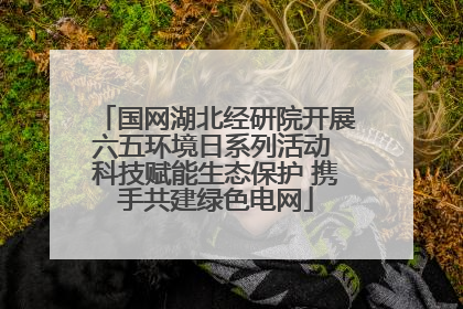 国网湖北经研院开展六五环境日系列活动 科技赋能生态保护 携手共建绿色电网