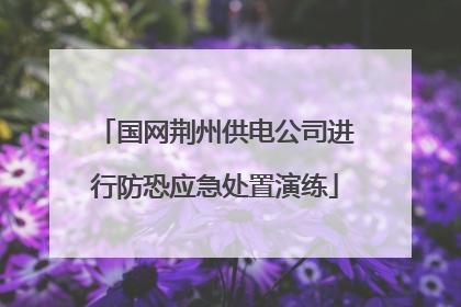 国网荆州供电公司进行防恐应急处置演练