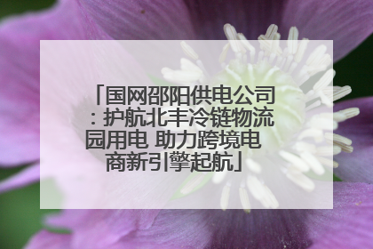 国网邵阳供电公司：护航北丰冷链物流园用电 助力跨境电商新引擎起航