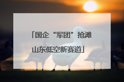 国企“军团”抢滩山东低空新赛道