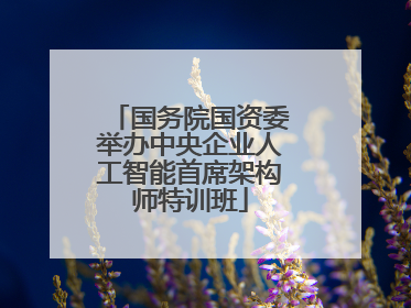 国务院国资委举办中央企业人工智能首席架构师特训班