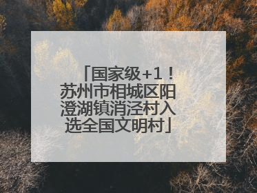国家级+1！苏州市相城区阳澄湖镇消泾村入选全国文明村