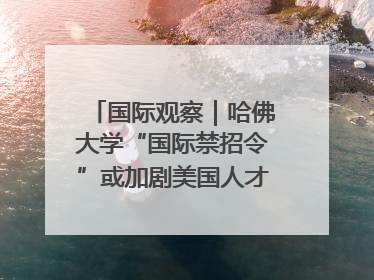 国际观察｜哈佛大学“国际禁招令”或加剧美国人才“出走潮”