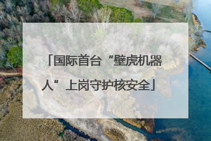 国际首台“壁虎机器人”上岗守护核安全