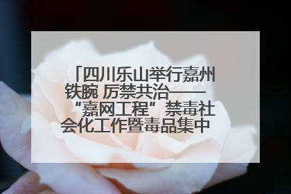 四川乐山举行嘉州铁腕 厉禁共治——“嘉网工程”禁毒社会化工作暨毒品集中销毁启动仪式