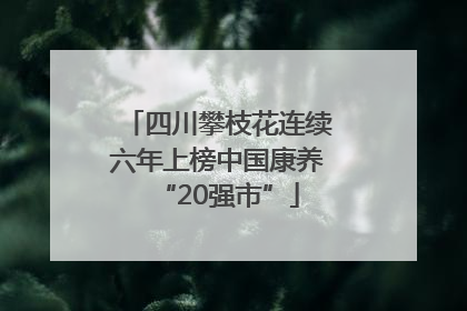 四川攀枝花连续六年上榜中国康养“20强市”