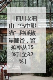 四川老君山“鸟中熊猫”种群数量翻番，繁殖率从15%升至32%