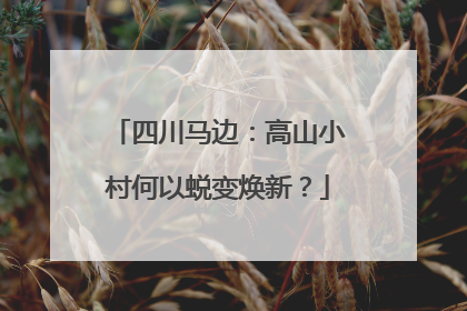 四川马边：高山小村何以蜕变焕新？