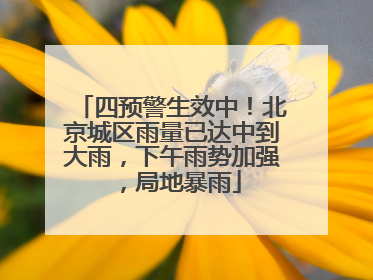 四预警生效中！北京城区雨量已达中到大雨，下午雨势加强，局地暴雨