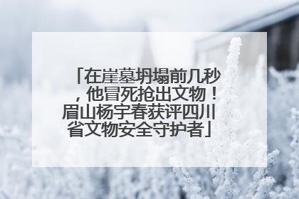 在崖墓坍塌前几秒，他冒死抢出文物！眉山杨宇春获评四川省文物安全守护者